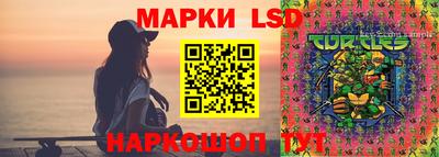 гашик Пенза