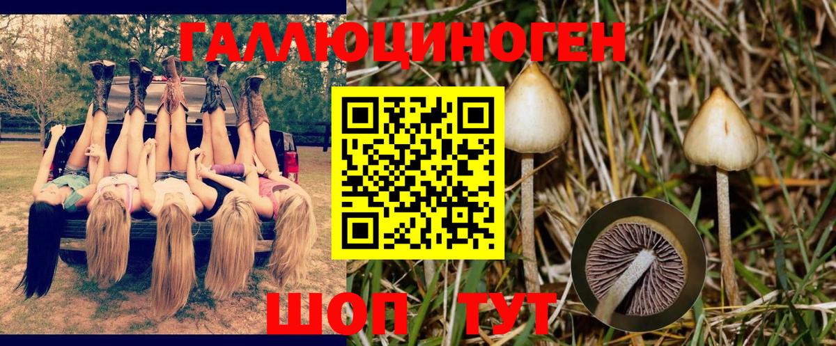 Псилоцибиновые грибы мицелий Партизанск
